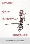 Space/Gap/Interval/Distance by Judy Halebsky