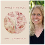 Aphids in the Rose by Joan Baranow