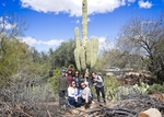 Arcosanti: The students find a saguaro cactus