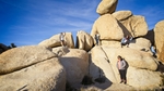 Joshua Tree: The band photo on the rocks of Joshua Tree by Michael Pujals