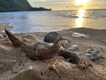 Tunnels Beach Hanalei by Christina Mayes