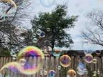 Bubble Machine by Elizabeth Truesdell