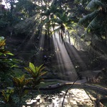 Bali, Indonesia by Gigi Gokcek