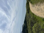 Dipsea Trail by Megan Toma