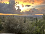 Tuscan View by Megan Toma