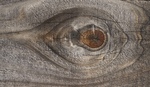 Eye by Ramakrishnan Kastooriranganathan
