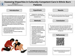 Assessing Disparities in Culturally Competent Care in Ethnic Burn Patients