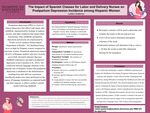 The Impact of Spanish Classes for Labor and Delivery Nurses on Postpartum Depression Incidence among Hispanic Women by Leilani Gutierrez