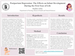 Postpartum Depression: The Effects on Infant Development During the First Year of Life by Sophie John