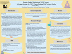 Routine Guided Meditation in NICU Nurses: A Coping Strategy for NICU Nurses Dealing With Newborn Deaths