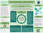 Life after Brain Injury: Family Perspectives by Brenda Yamileth Escobar, Arianna Masuko Inouye, Caroline Nicole Mendoza, and Edith Elaine Leslie