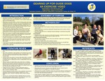 Gearing Up for Guide Dogs: An Exercise Video by Valerie J. DeRoos and Skyler Moon