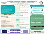 Occupational Responses of Older Adults Following Partner Loss